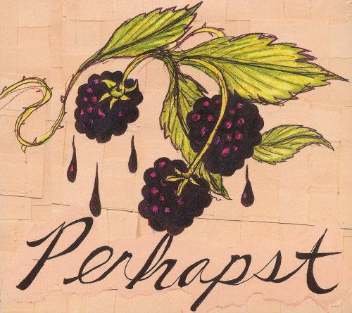 the album cover for Perhapst - Perhapst