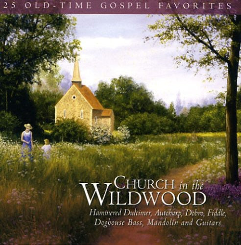 the album cover for Wanda Vick & Friends - Church in the Wildwood