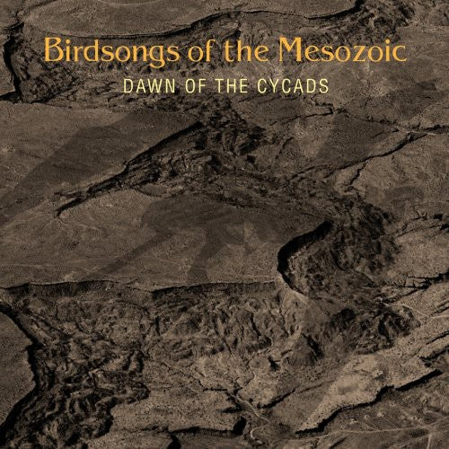 the album cover for Birdsongs Of The Mesozoic - Dawn of the Cycads