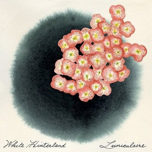 the album cover for White Hinterland - Luniculaire