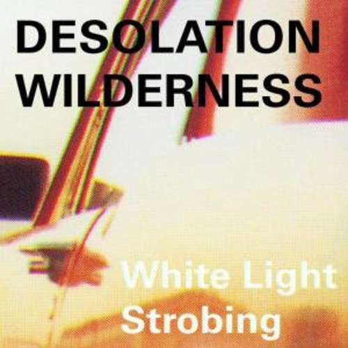 the album cover for Desolation Wilderness - White Light Strobing