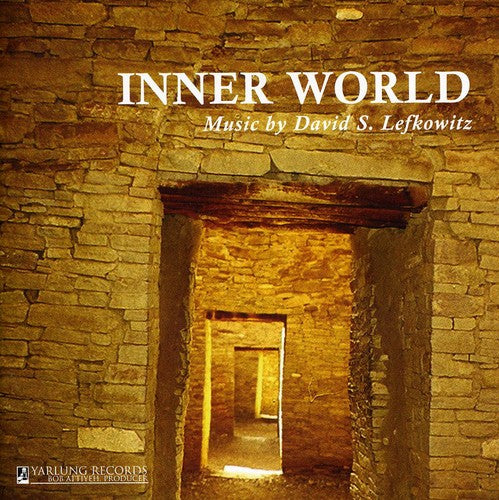 the album cover for David S. Lefkowitz - Inner World