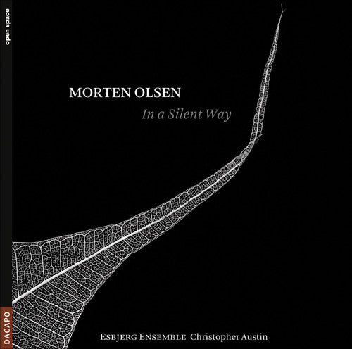 the album cover for Christopher Austin - In a Silent Way