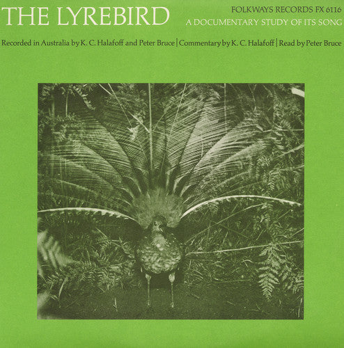 the album cover for P Bruce - The Lyrebird: A Documentary Study of It's Song