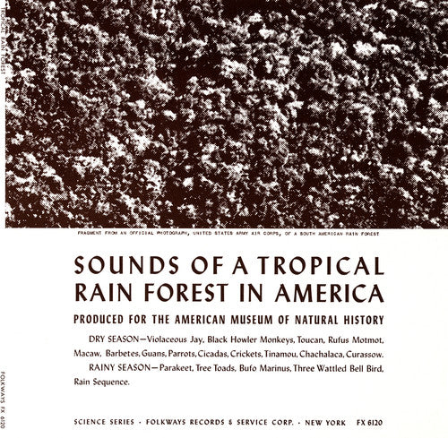 the album cover for Sounds Of A Tropical Rain Forest Produced For The - Tropical Rain Forest / Various