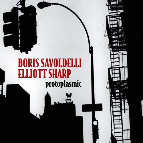 the album cover for Boris Savoldelli & Elliott Sharp - Protoplasmic