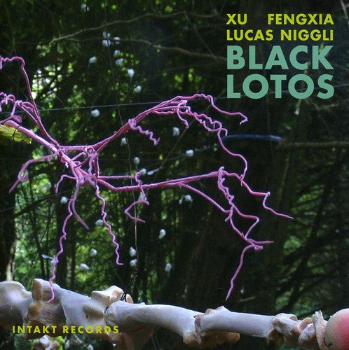 the album cover for Xu Fengxia - Black Lotos [Import]