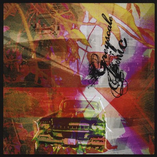 the album cover for Greyscale Picnic - Panic in the Mosaic Era