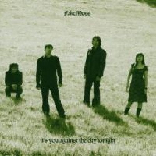 the album cover for Fake Moss - It's You Against the City