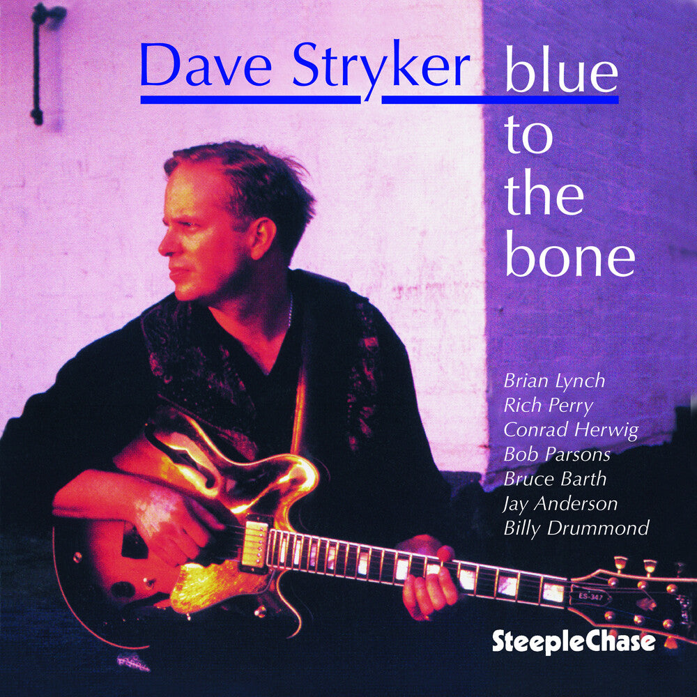 the album cover for Dave Stryker - Blue to the Bone