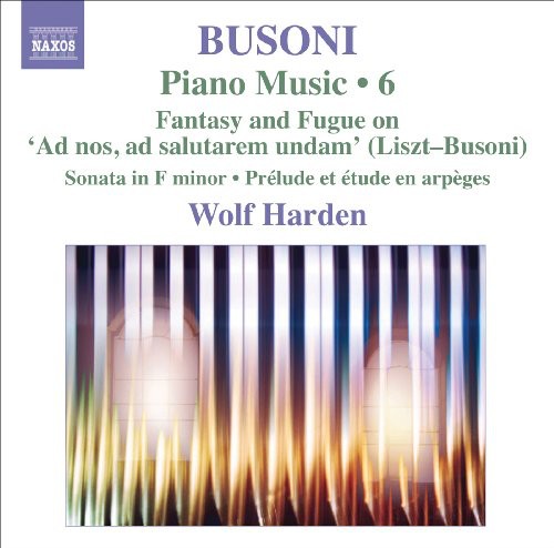 the album cover for Wolf Harden - Piano Music 6