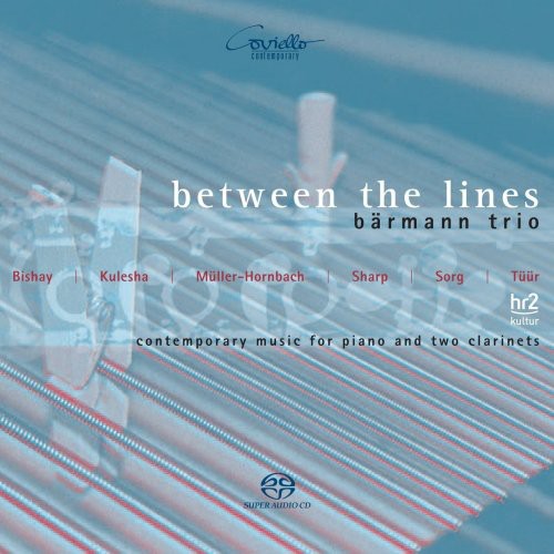 the album cover for Barmann Trio - Between the Lines