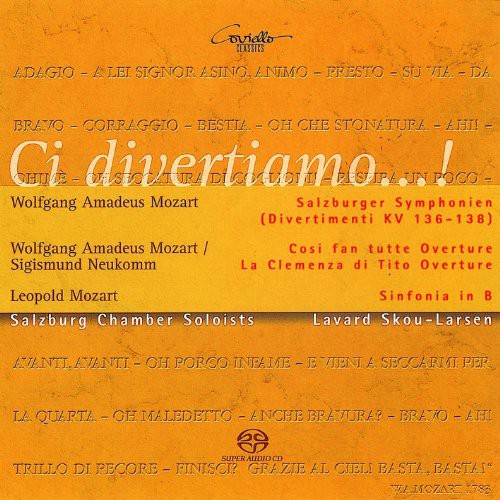 the album cover for Lavard Skou-Larsen - Ci Divertiamo