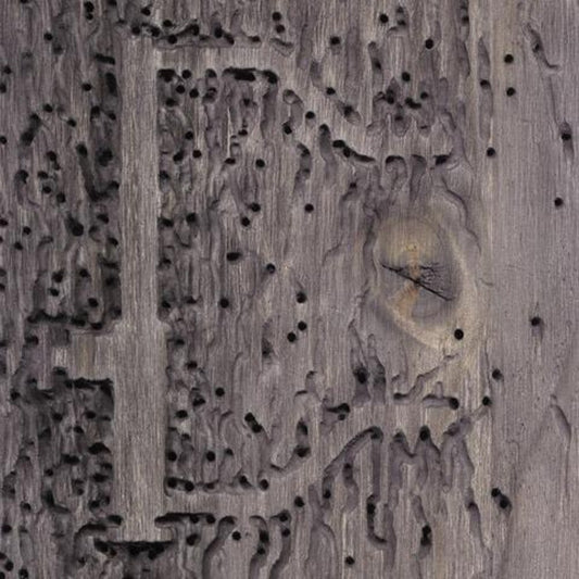 the album cover for Dj Signify - Sleep No More