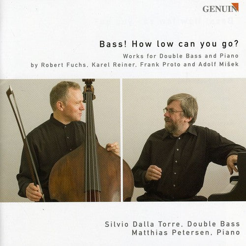 the album cover for S.D. Torre - Bass: How Low Can You Go
