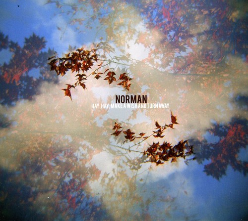 the album cover for Norman (Rap) - Hay, Hay Make A Wish and Turn Away
