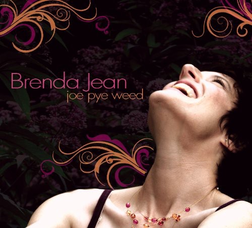 the album cover for Brenda Jean - Joe Pye Weed