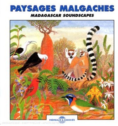 the album cover for Roche / Sounds Of Nature - Madagascar Soundscapes