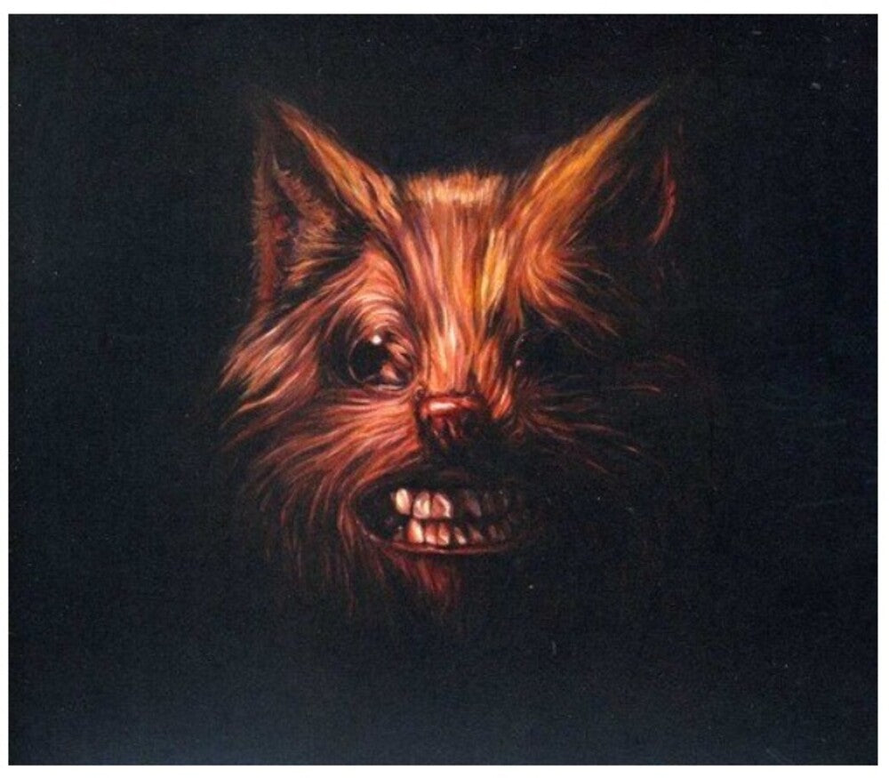Swans - The Seer [2 CD]
