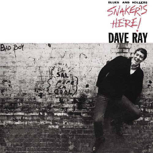 the album cover for Dave Ray - Snaker's Here