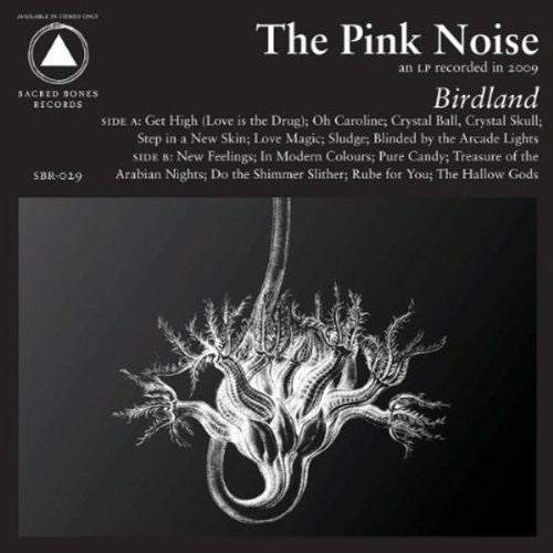 the album cover for Unknown Artist - Birdland