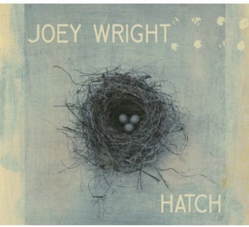 the album cover for Joey Wright - Hatch