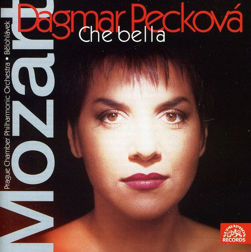 the album cover for JiÅ™Ã­ SulÅ¾enko - Arias
