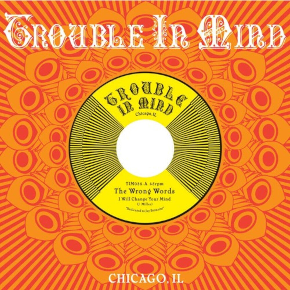 the album cover for Wrong Words - I Will Change Your Mind