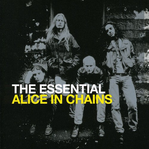 the album cover for Alice In Chains - Essential Alice in Chains