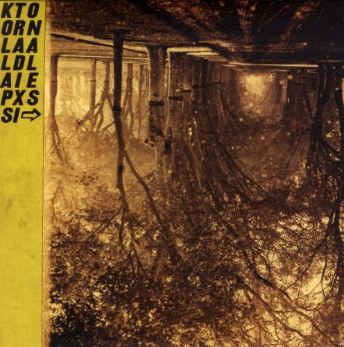 the album cover for Silver Mt. Zion - Kollaps Tradixionales [With CD] [With Book] [With Poster] [Deluxe Edition]