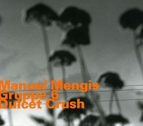 the album cover for Manuel Mengis - Dulcet Crush [Import]