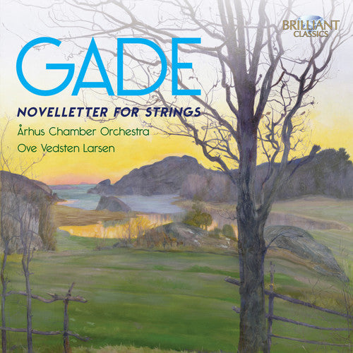 the album cover for Arhus Chamber Orchestra - Novelletter for Strings