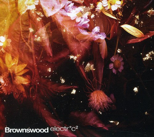 the album cover for Brownswood Electric - Vol. 2-Brownswood Electric