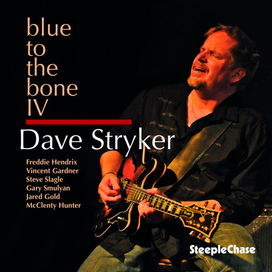 the album cover for Dave Stryker - Blue to the Bone Iv