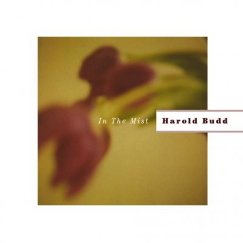 the album cover for Harold Budd - In the Mist
