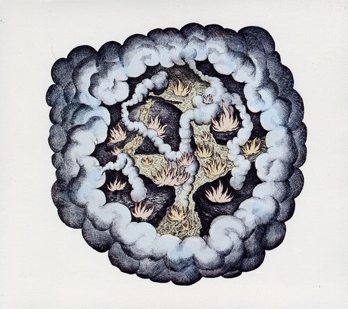 the album cover for Tw Walsh - Songs of Pain and Leisure