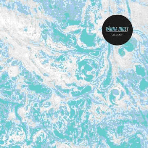 the album cover for Vanna Inget - Allvar