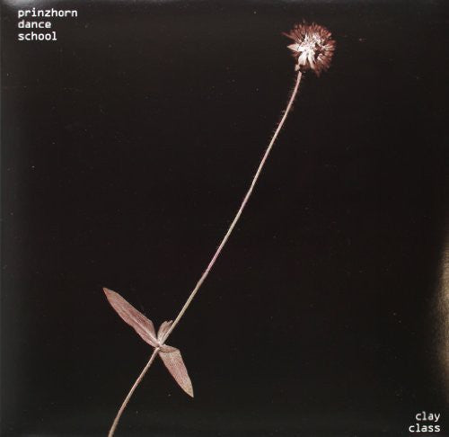 the album cover for Prinzhorn Dance School - Clay Class [Digital Download Coupon]