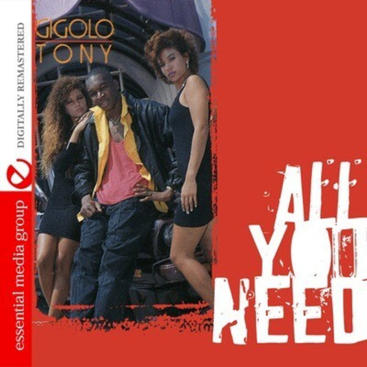 the album cover for Gigolo Tony - All You Need