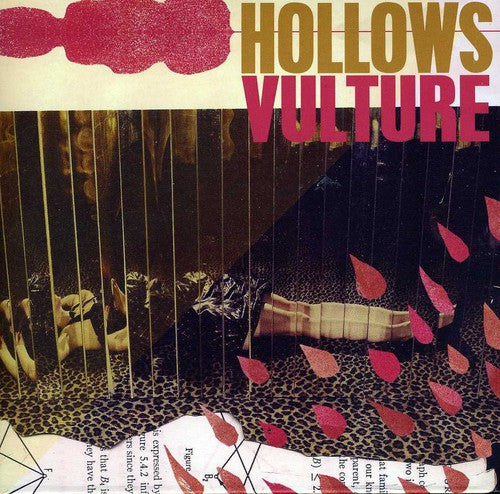 the album cover for Hollows - Vulture