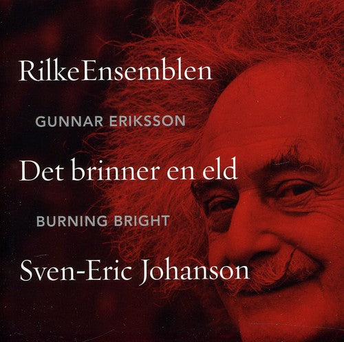 the album cover for Gunnar Eriksson - Burning Bright