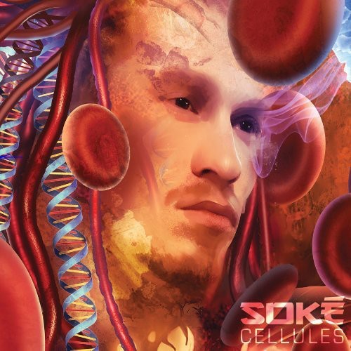 the album cover for SokÃ© - Cellules
