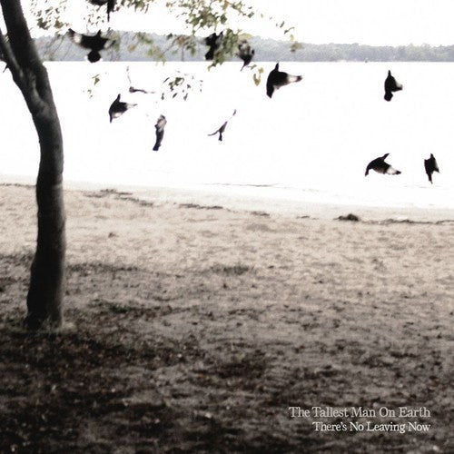 the album cover for The Tallest Man On Earth - There's No Leaving Now