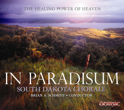 the album cover for Brian A. Schmidt - In Paradisum: The Healing Power of Heaven