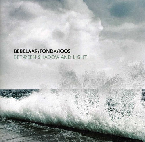 the album cover for Patrick Bebelaar - Between Shadow and Light