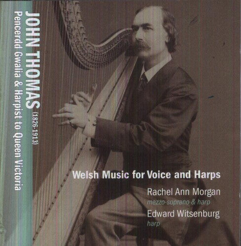 the album cover for Edward Witsenburg - Welsh Music for Voice & Harp