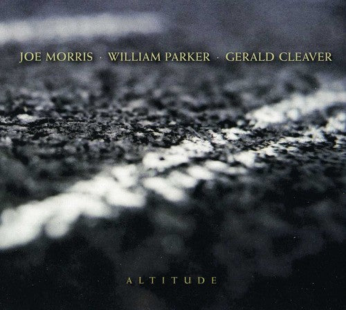 the album cover for Joe Morris Trio (Guitar) - Altitude