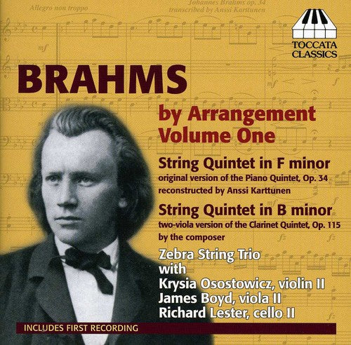 the album cover for Zebra Trio - Brahms By Arrangement 1 / String Quintets
