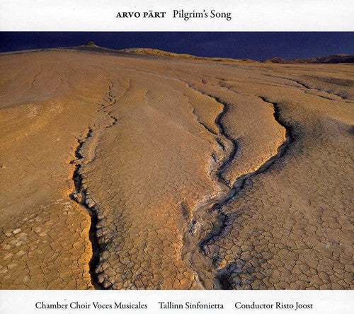the album cover for Risto Joost - Pilgrim's Song