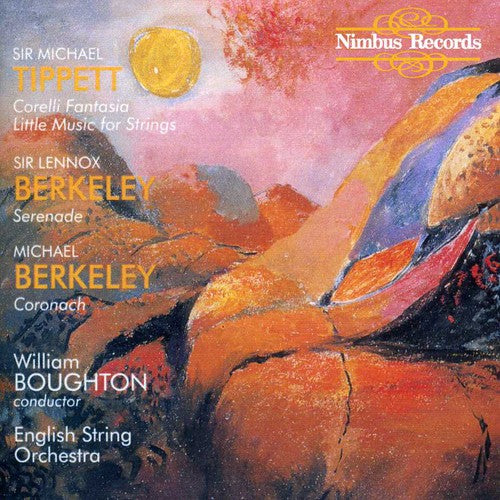 the album cover for English String Orchestra - Corelli Fantasia